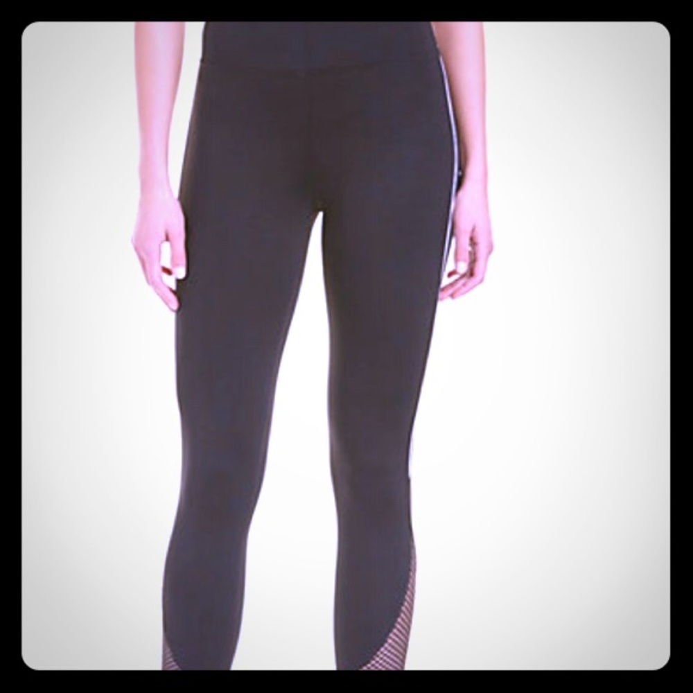 Koral Become High Rise Legging